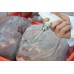 Наконечник для замороженных продуктов Testo длина 90 мм